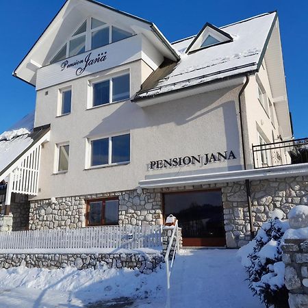 Pension Jana - Wellness Йилемнице Экстерьер фото
