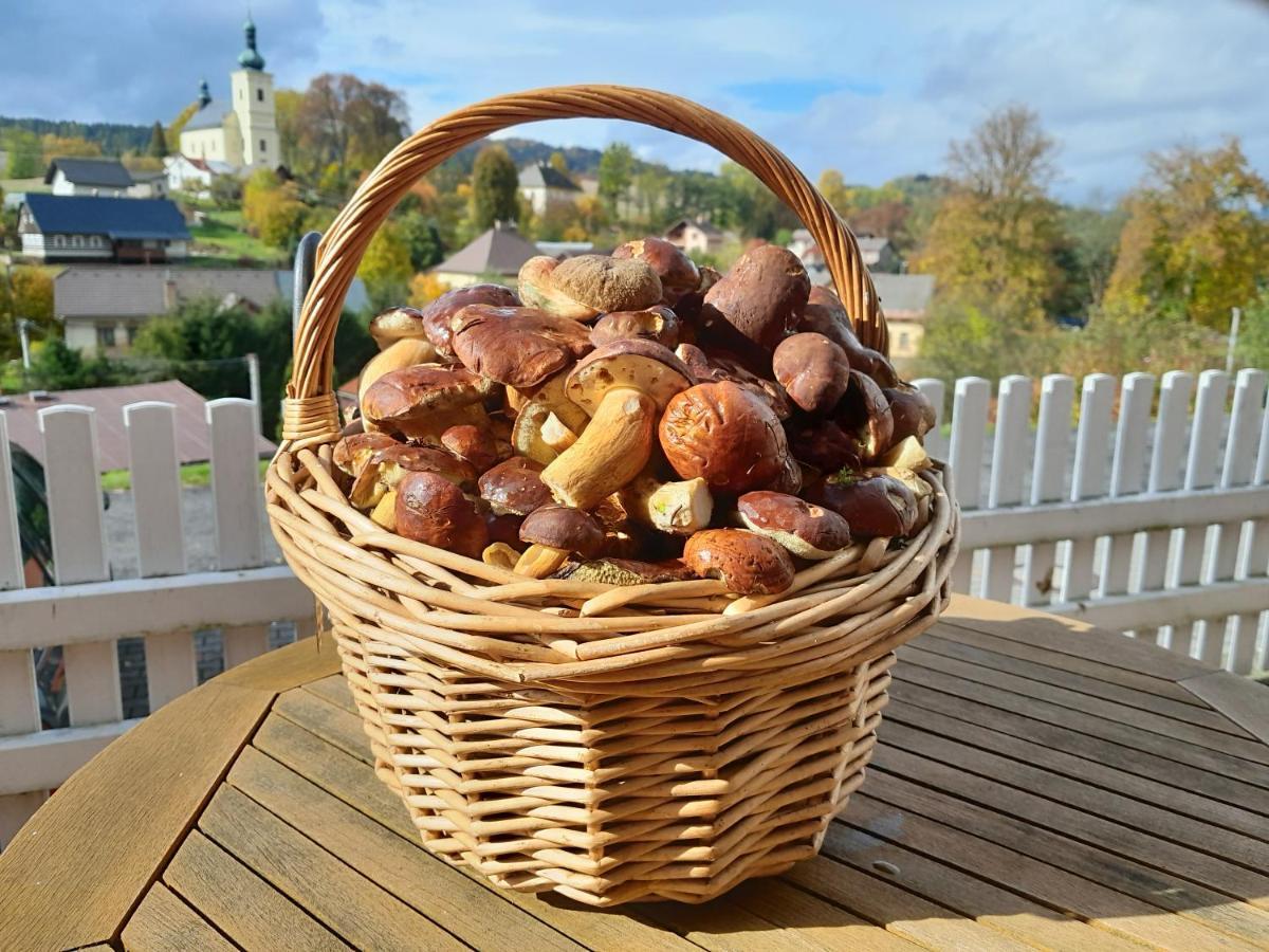 Pension Jana - Wellness Йилемнице Экстерьер фото