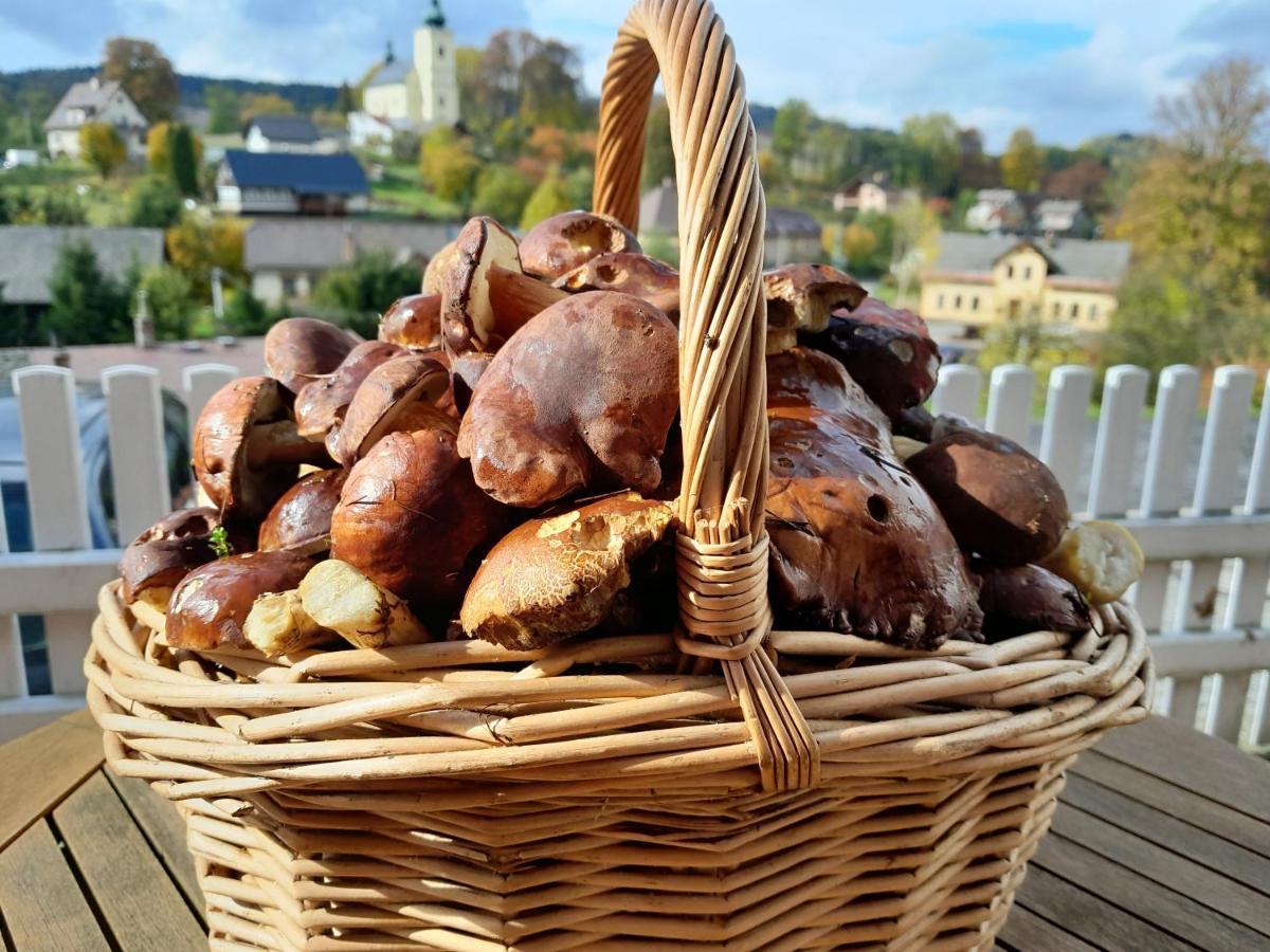 Pension Jana - Wellness Йилемнице Экстерьер фото