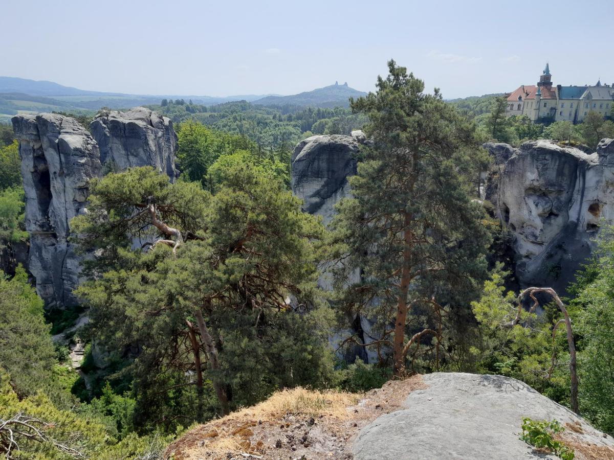 Pension Jana - Wellness Йилемнице Экстерьер фото