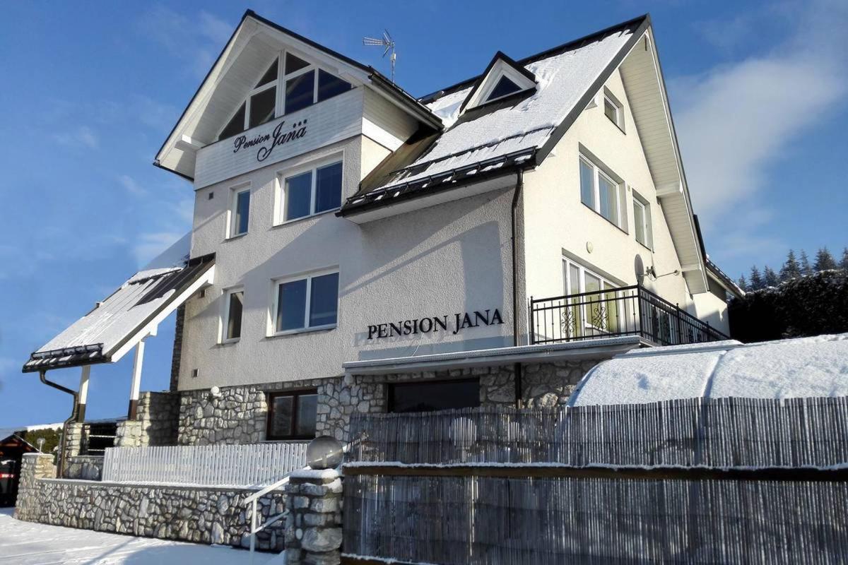 Pension Jana - Wellness Йилемнице Экстерьер фото